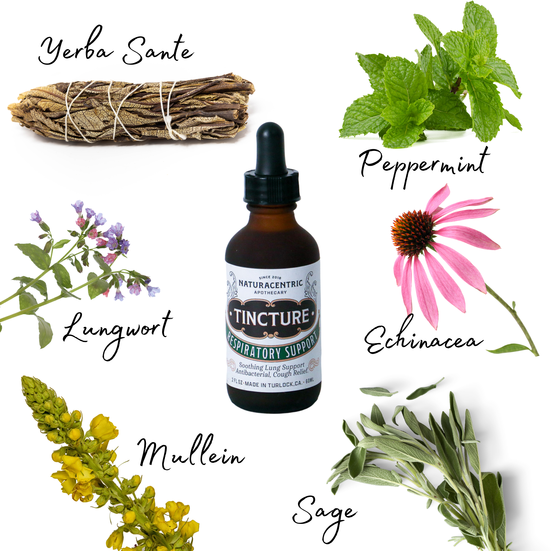 Respiratory Support Tincture | Naturacentric