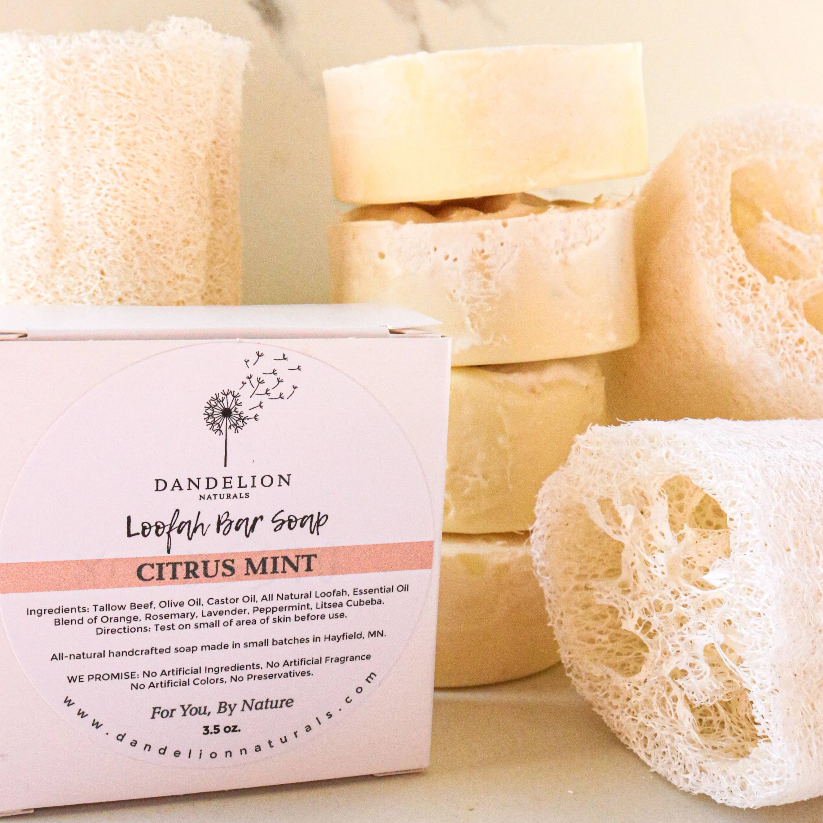 Exfoliating Tallow Bar Soap with Loofah Citrus + Mint | Dandelion Naturals