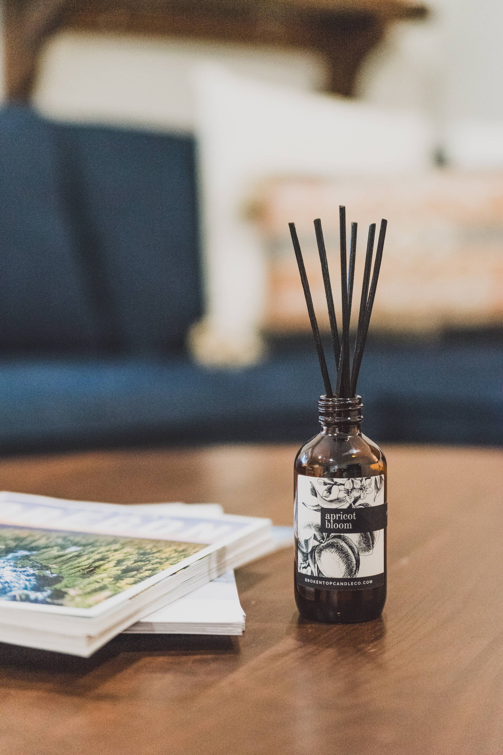 Reed Diffuser Apricot Bloom | Broken Top Goods
