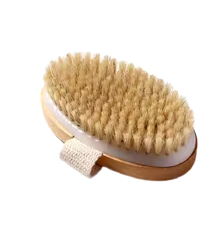 Dry Body Brush | Birdbath