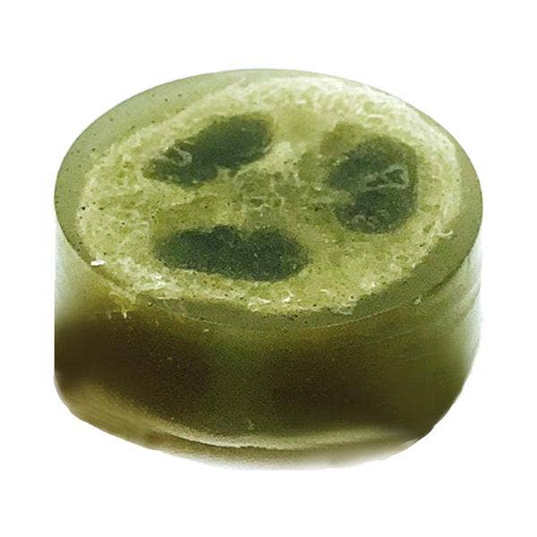 Polishing Suds | Birdbath