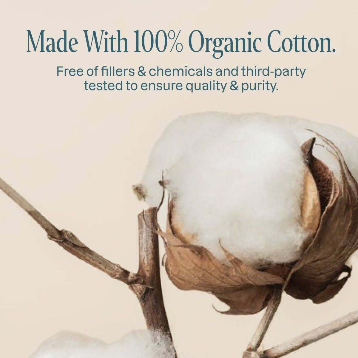 Organic Cotton Swabs 400 count | Cliganic