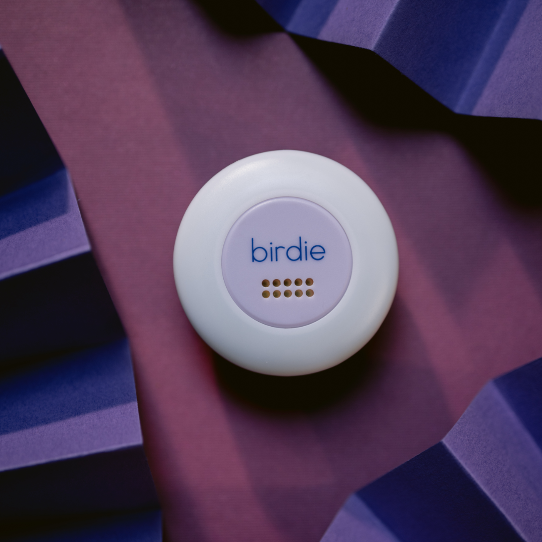Birdie Disc | She’s Birdie