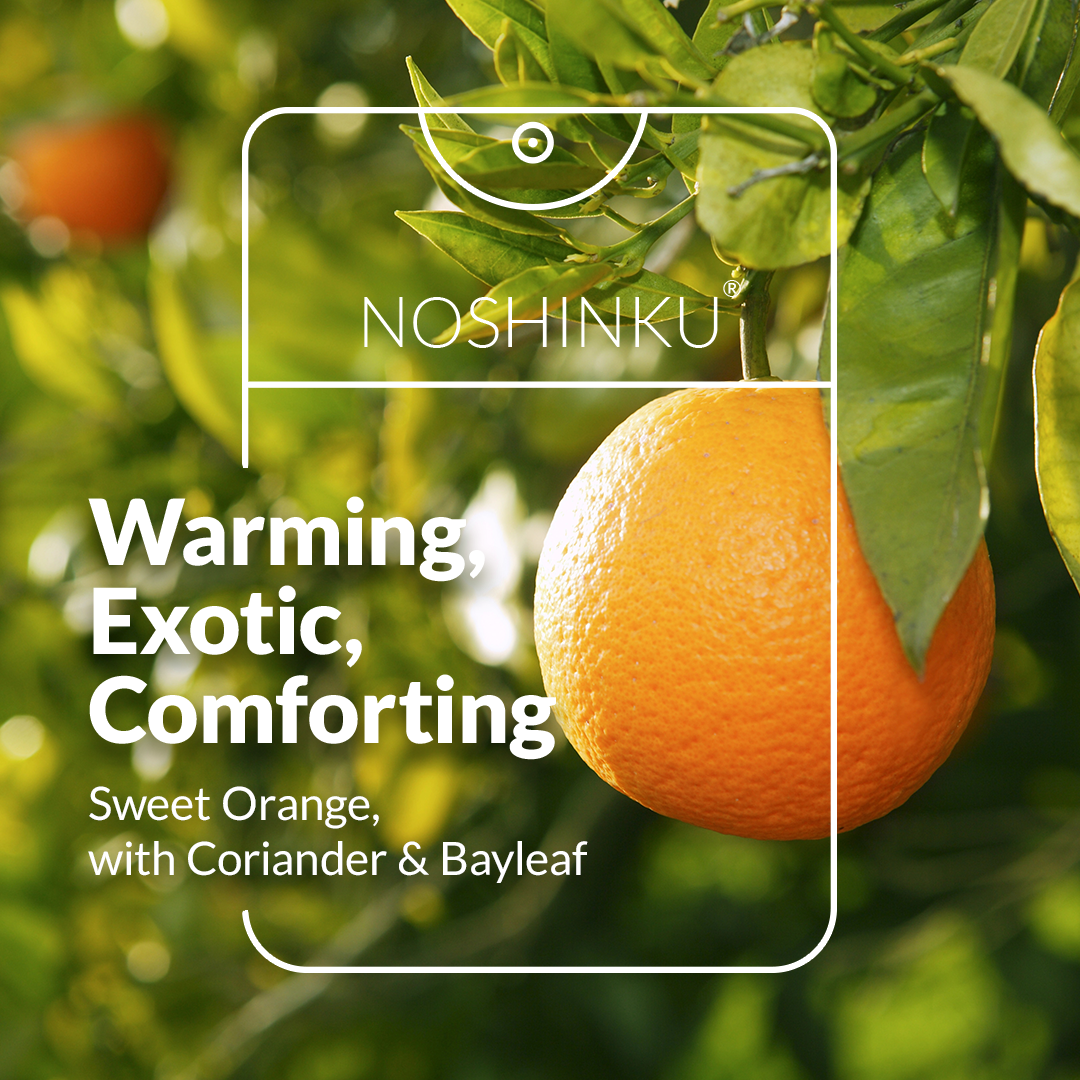 Refillable Orange Coriander Moisturizing Hand Sanitizer | Noshinku