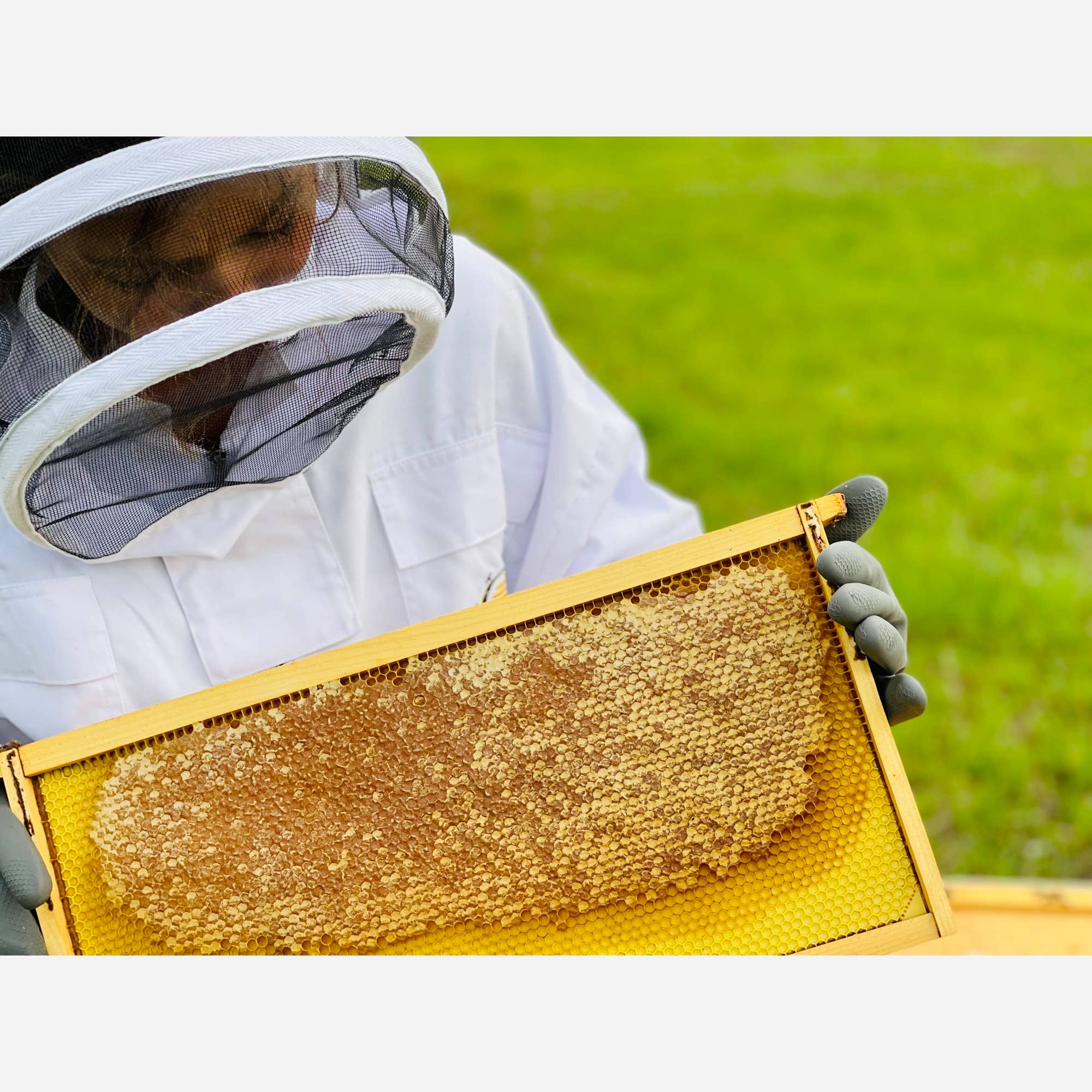 Lemon + Honey + Poppy Seed- Goat Milk Tallow Soap | Pretty Farm Girl