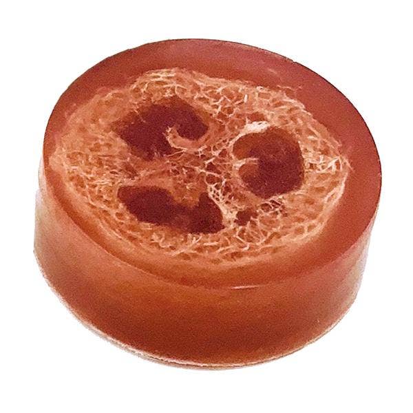 Polishing Suds | Birdbath