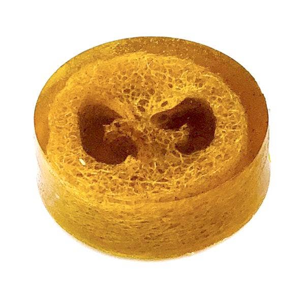 Polishing Suds | Birdbath