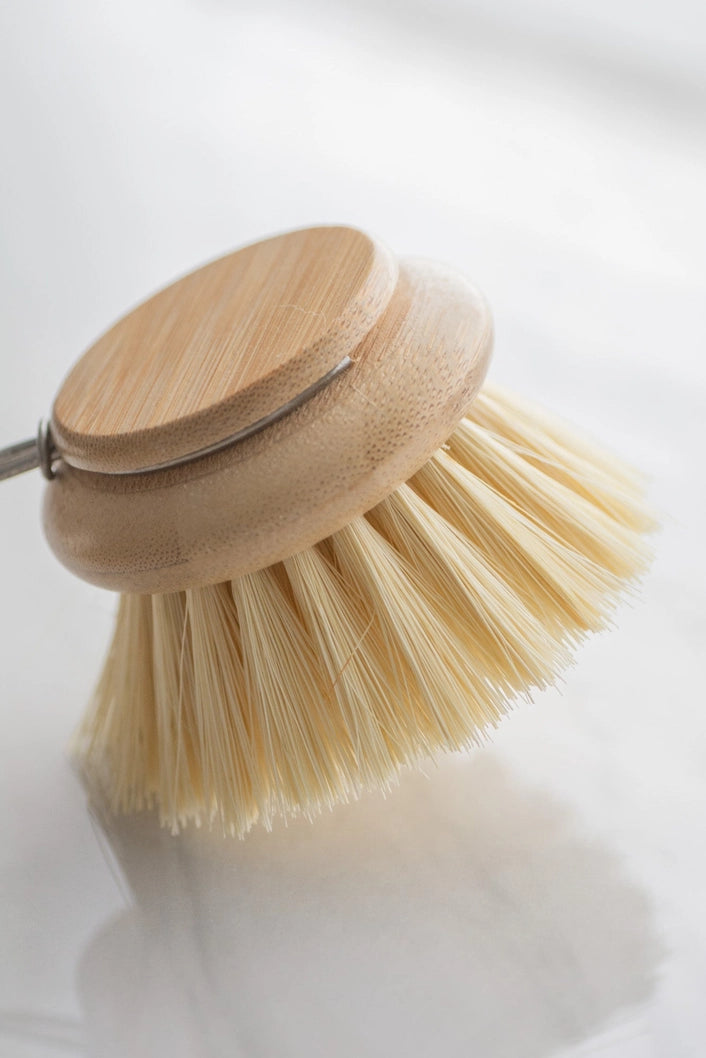Dish Brush With Handle | Reformation Refill