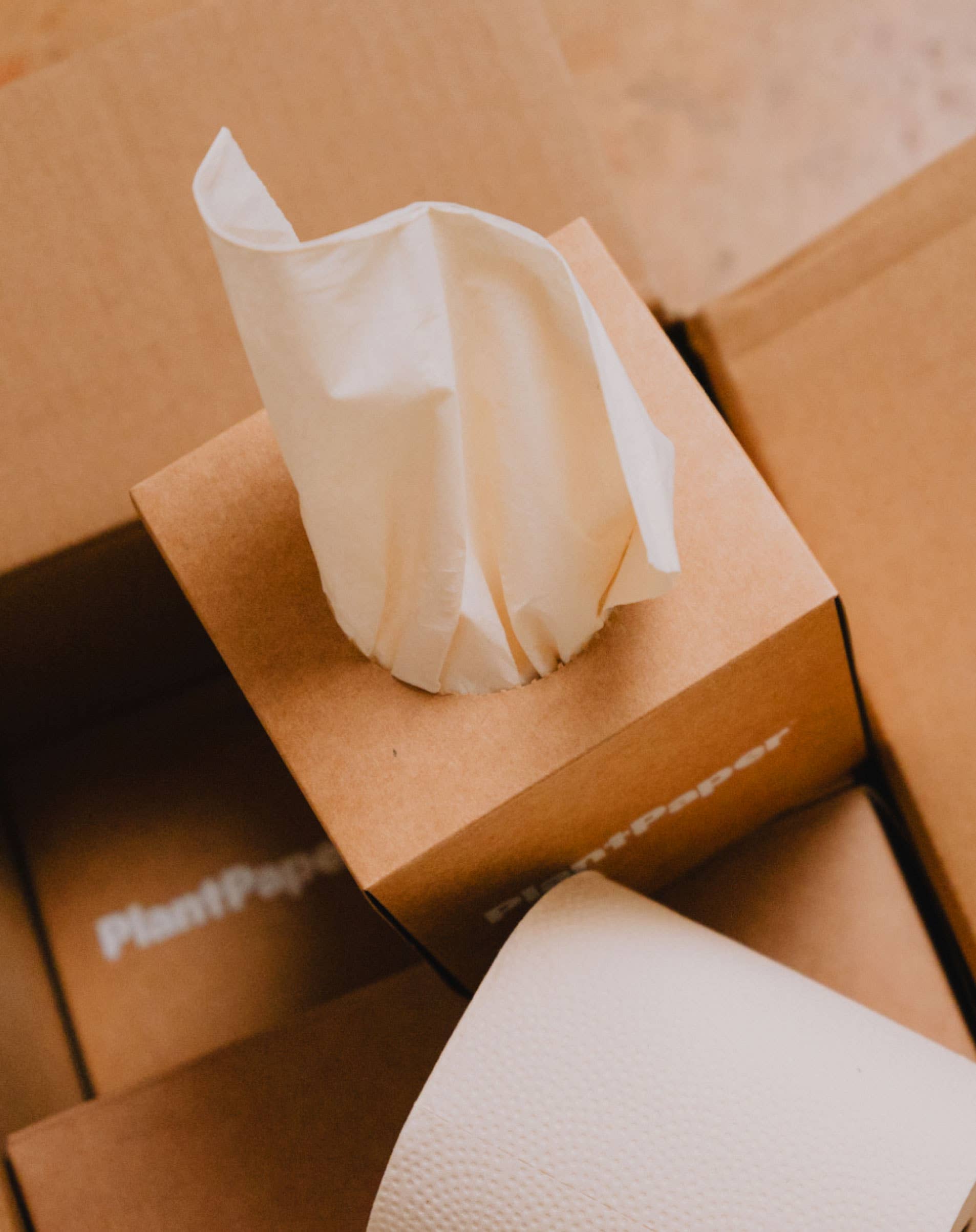 Unbleached, 3-ply Bamboo Facial Tissues | Plant Paper