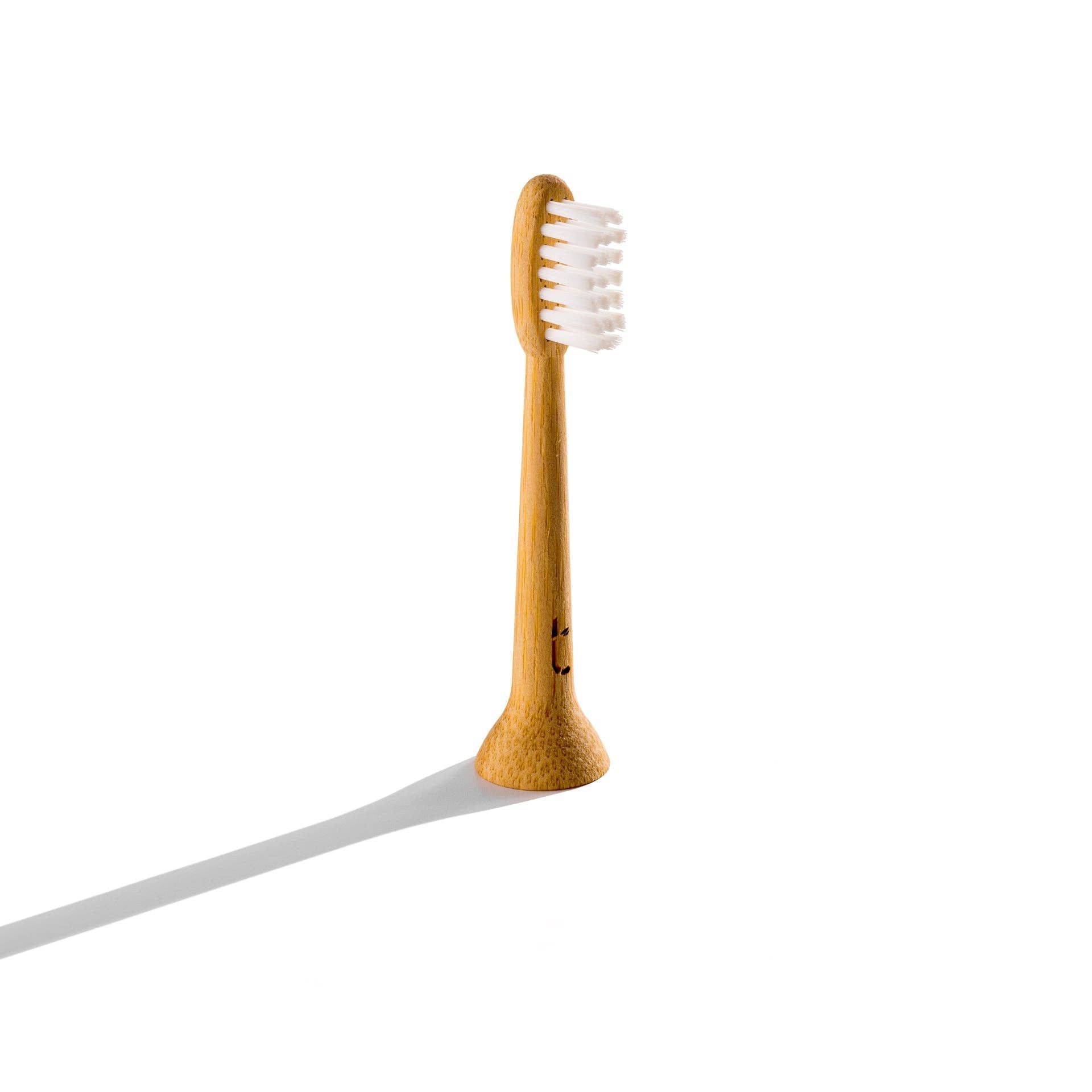 Solid Bamboo Electric Toothbrush Head | Toothbrush LLC