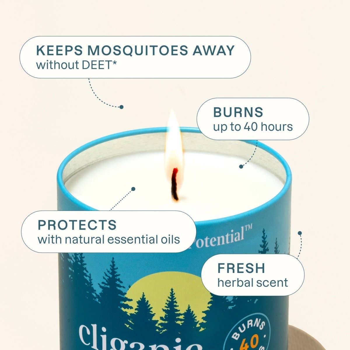 Mosquito Repellent Candle 22oz | Cliganic