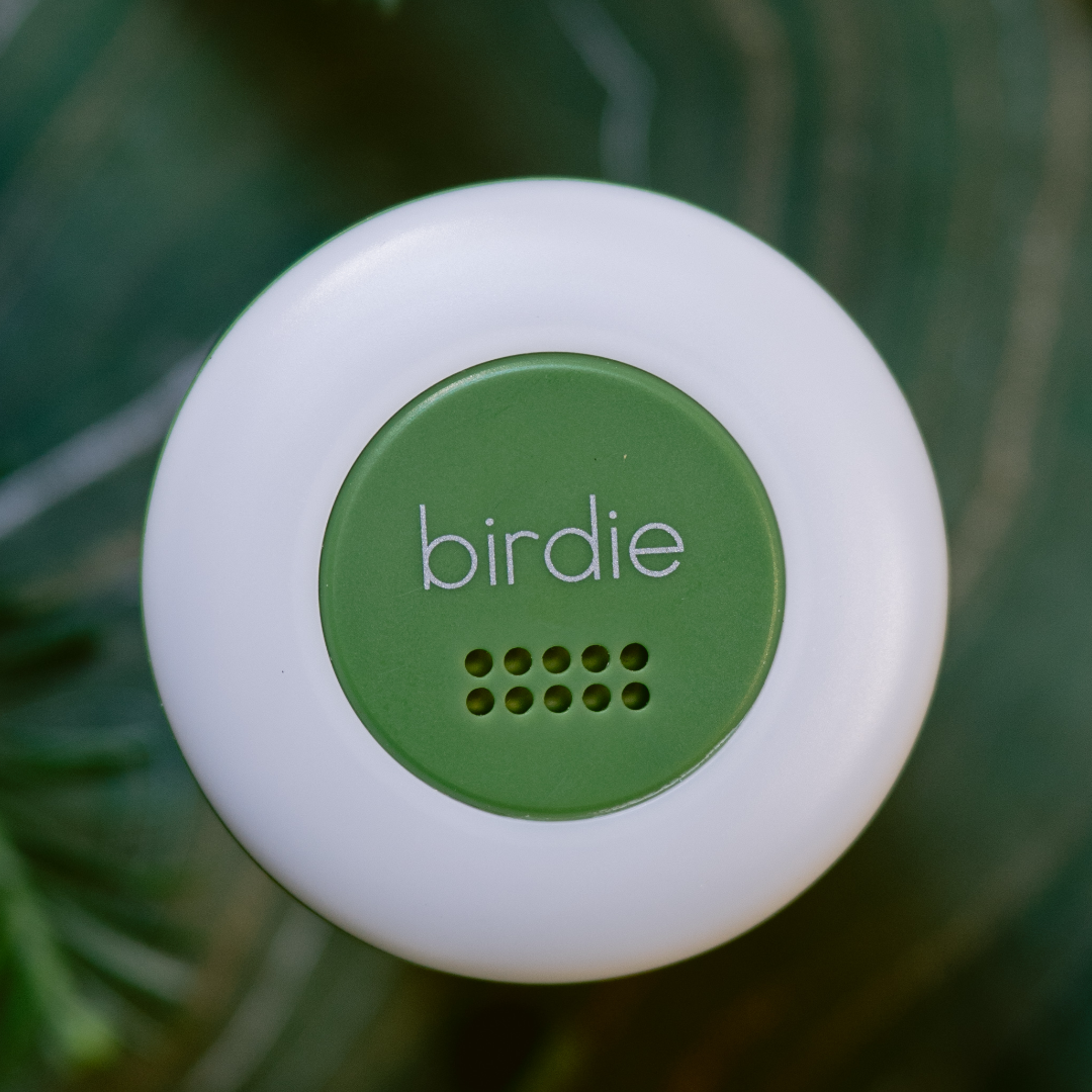 Birdie Disc | She’s Birdie