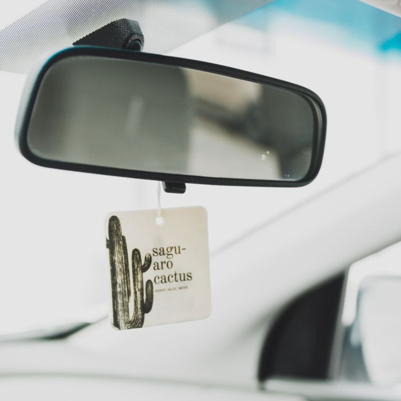 Car Fresheners Saguaro Cactus | Broken Top Goods