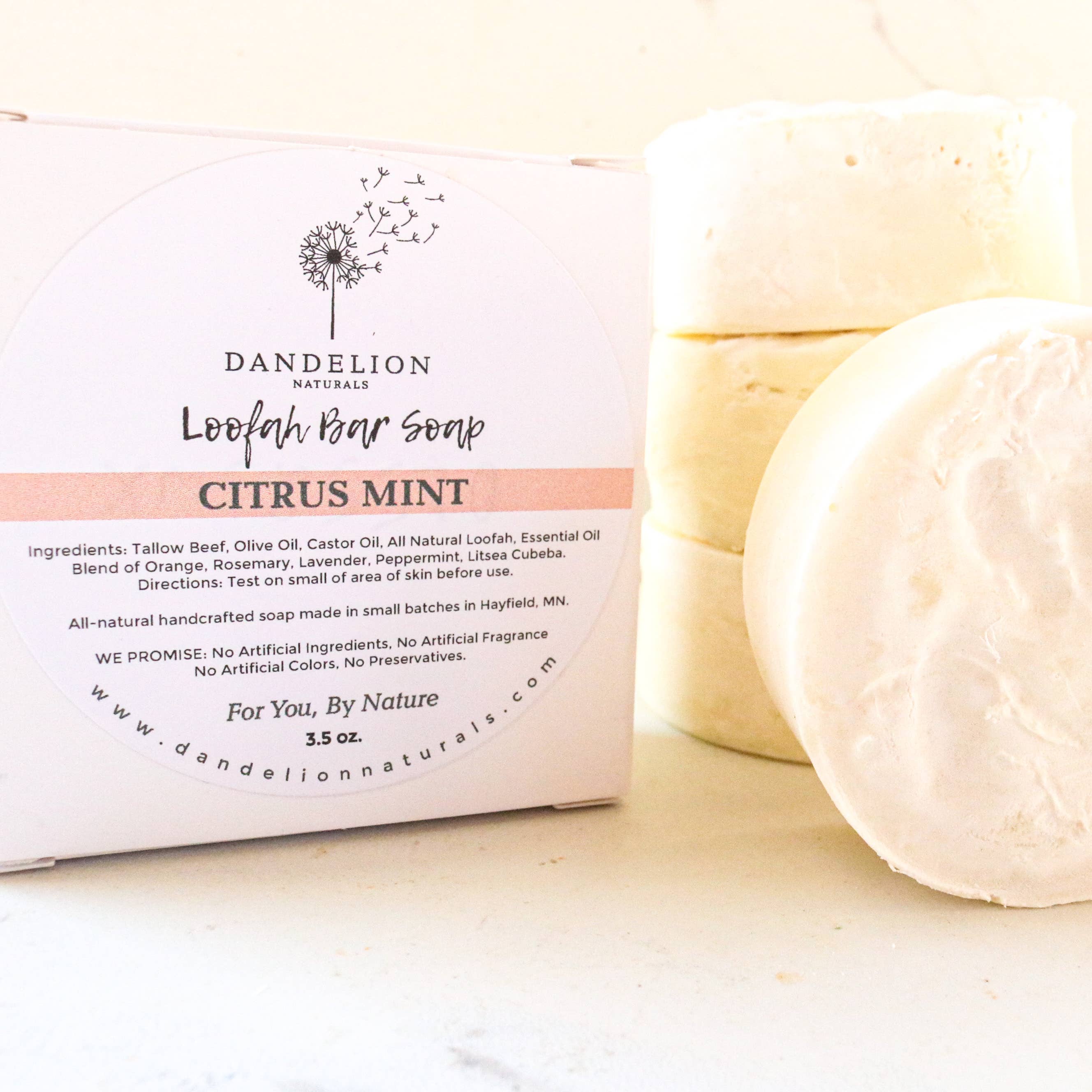 Exfoliating Tallow Bar Soap with Loofah Citrus + Mint | Dandelion Naturals