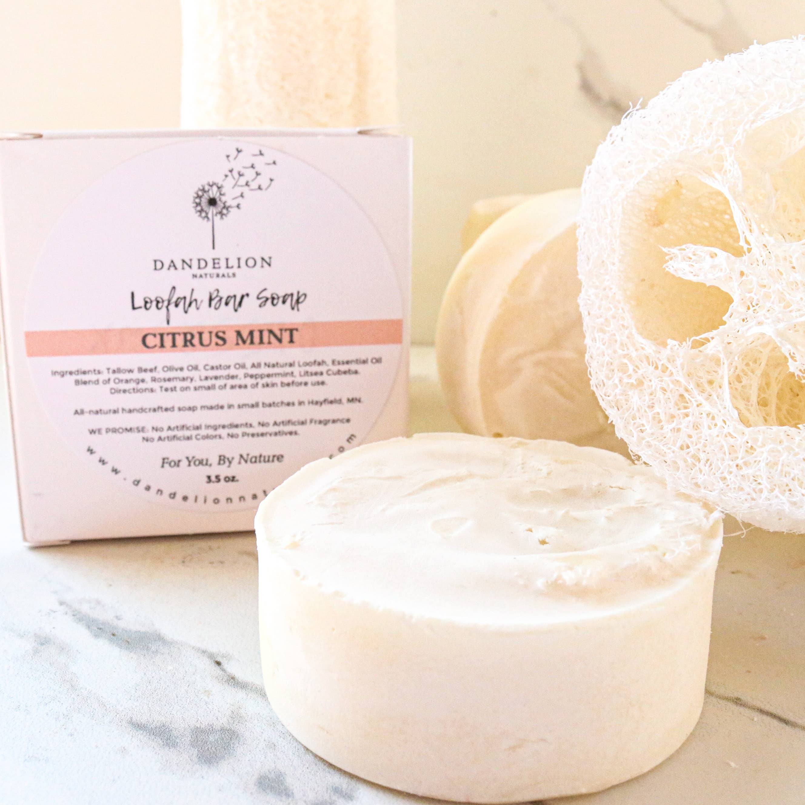 Exfoliating Tallow Bar Soap with Loofah Citrus + Mint | Dandelion Naturals