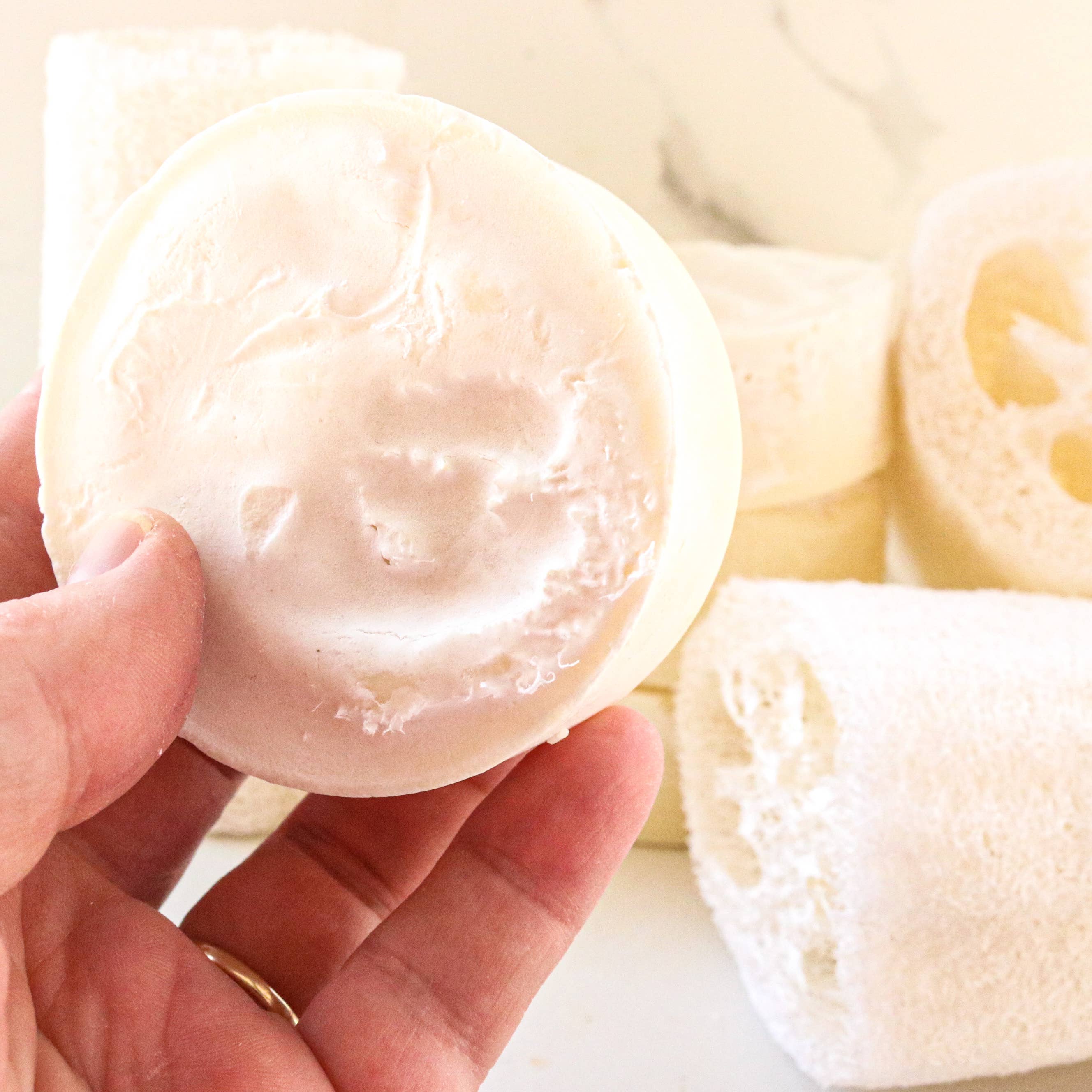 Exfoliating Tallow Bar Soap with Loofah Citrus + Mint | Dandelion Naturals