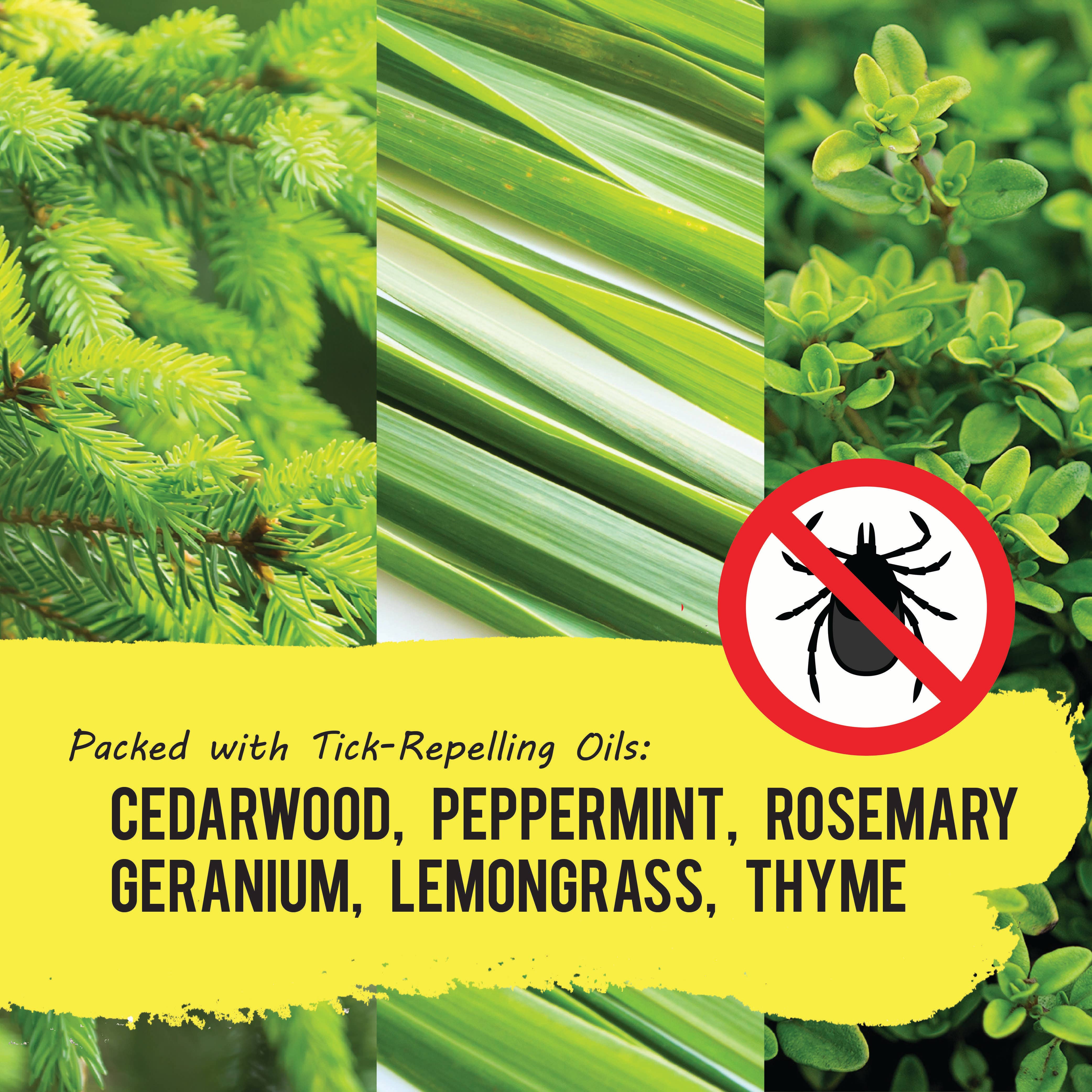 Tick Ban All-Natural Tick Repellent - 16 oz | Yaya