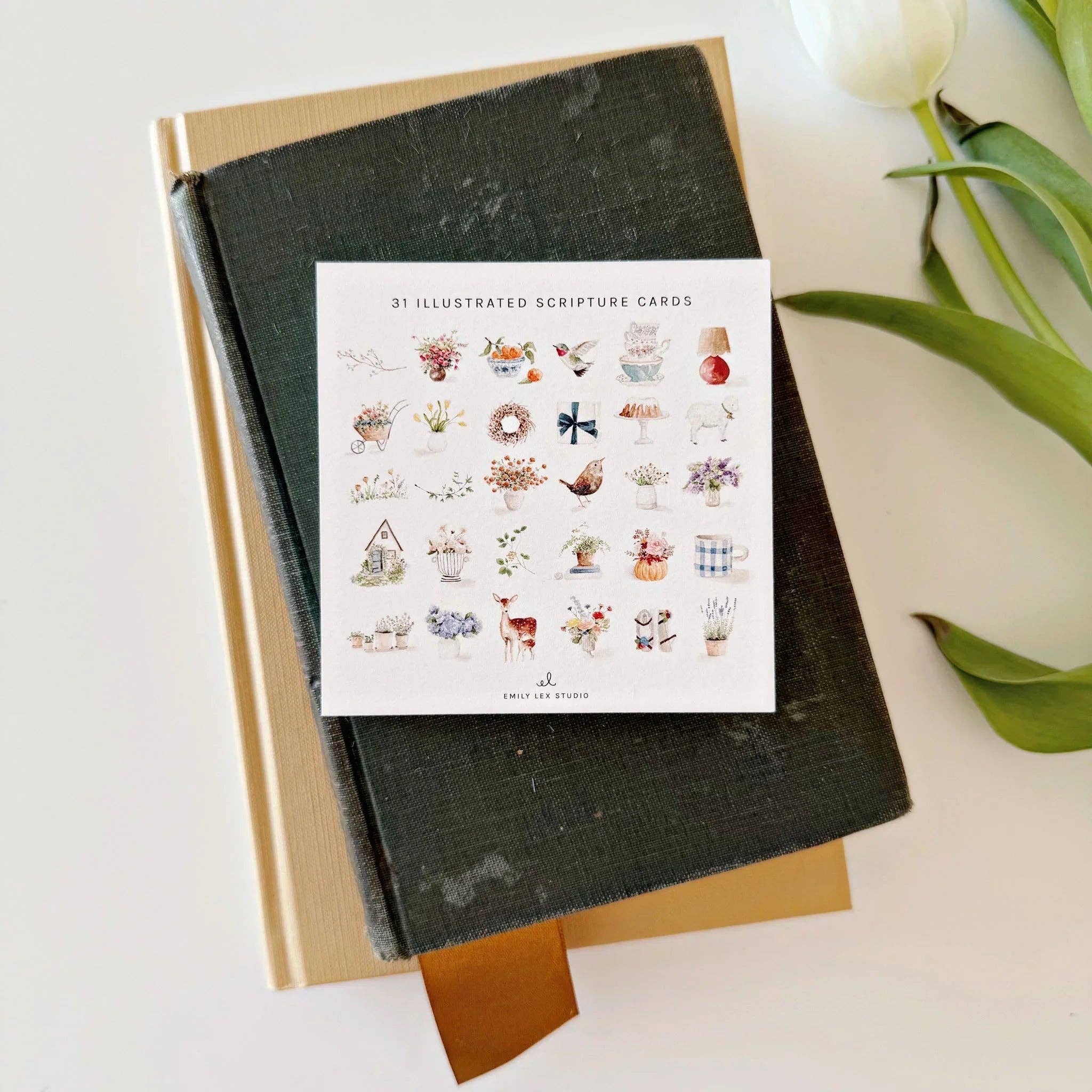 Truth for today psalms cards | Emily Lex Studio