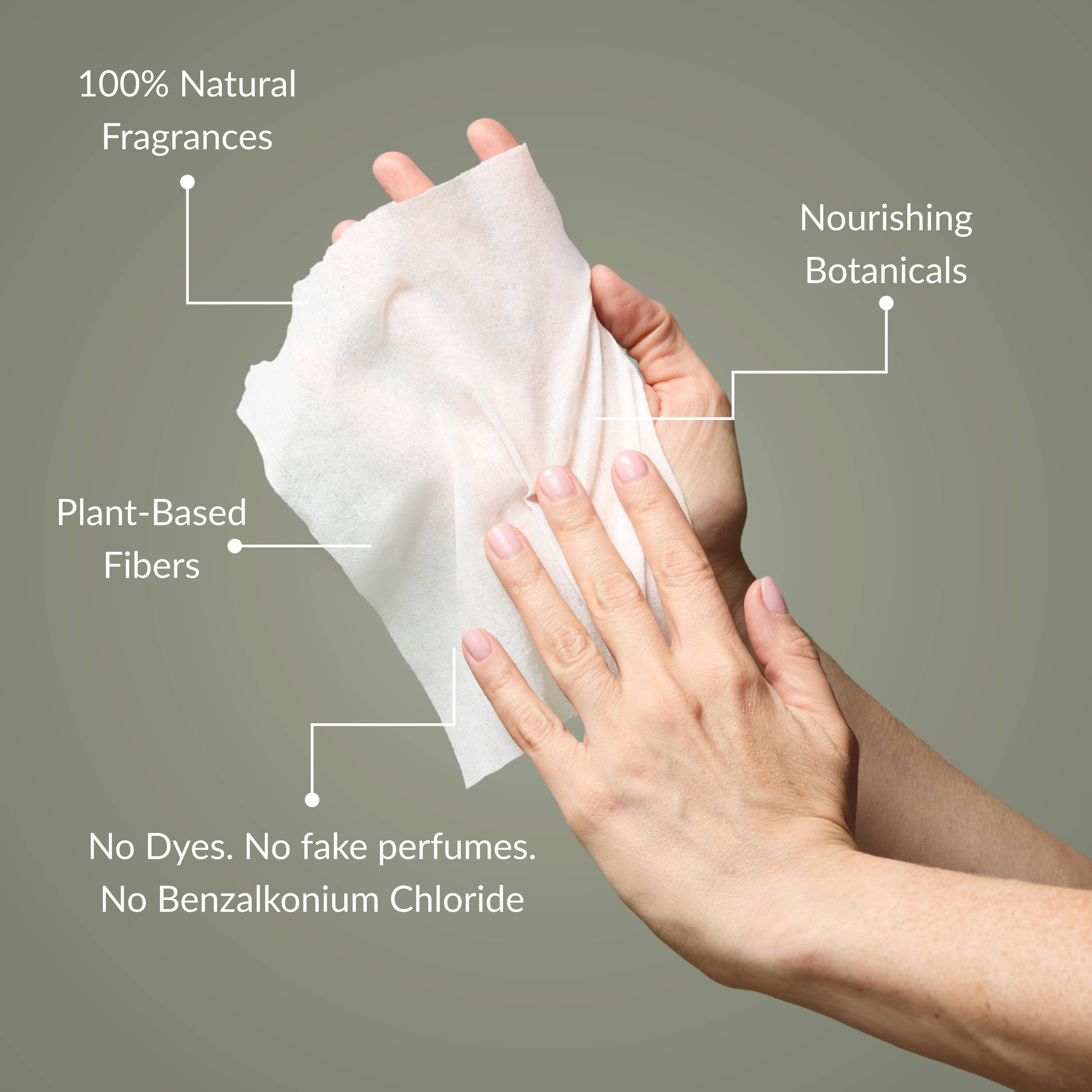 Eucalyptus Nourishing Hand Sanitizing Travel Wipes | Noshinku