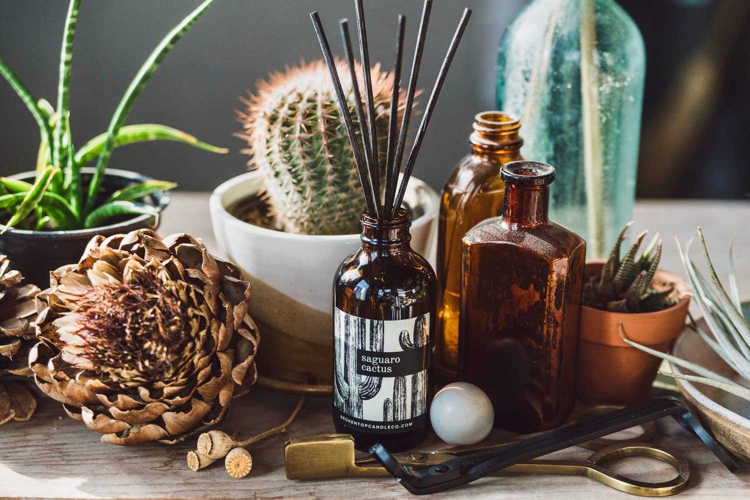 Reed Diffuser Saguaro Cactus | Broken Top Goods