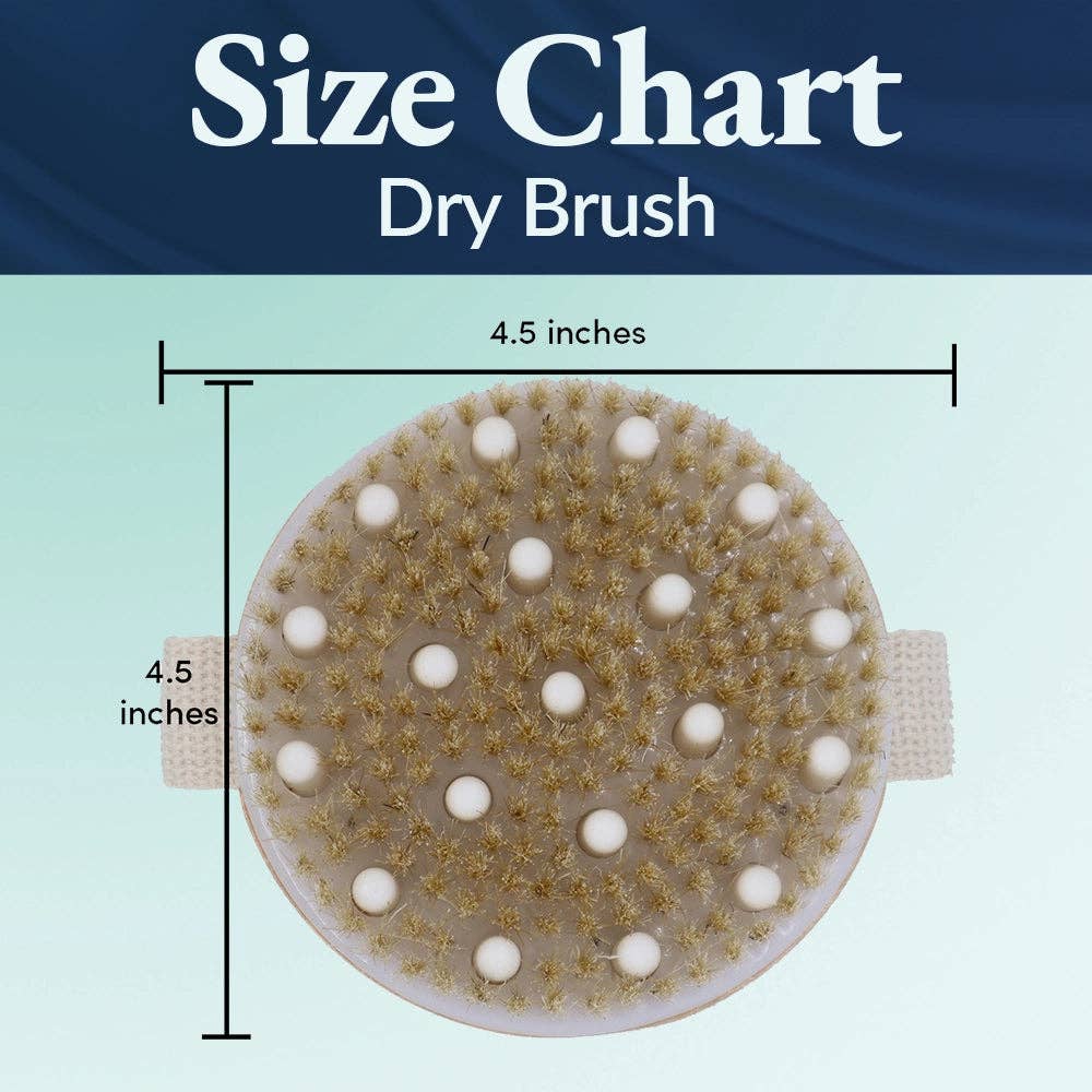 Bamboo Dry Brush  | Queen of the Thrones