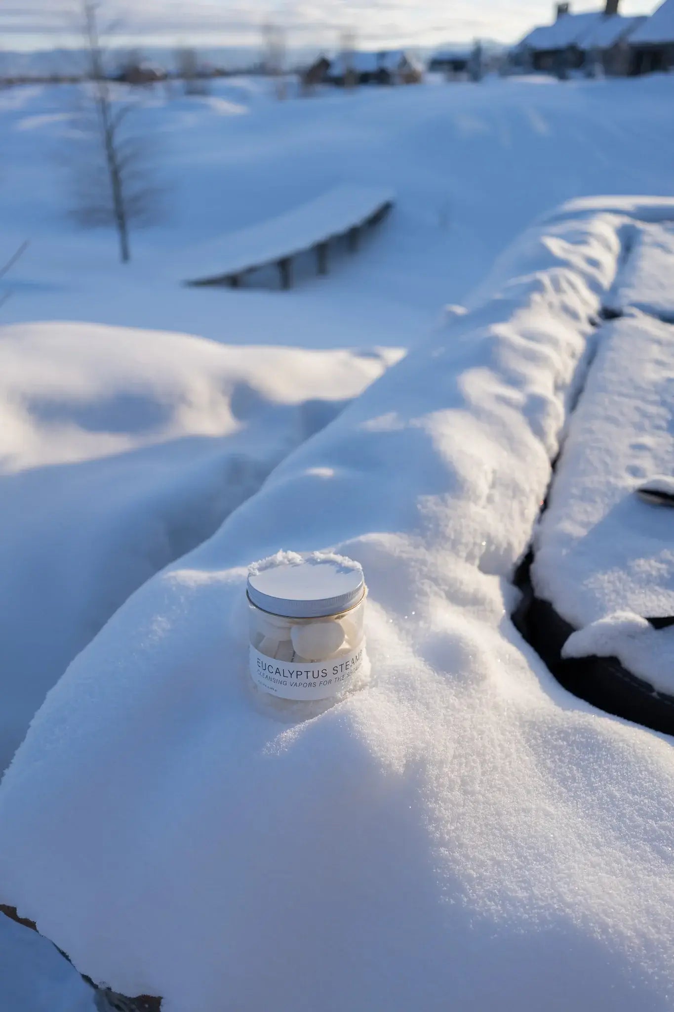 EUCALYPTUS STEAM® Cleansing vapors for the shower® (GRANDE) - No Tox Life