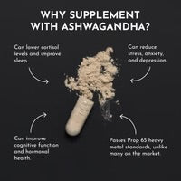 Ashwagandha Capsule | Just Ingredients