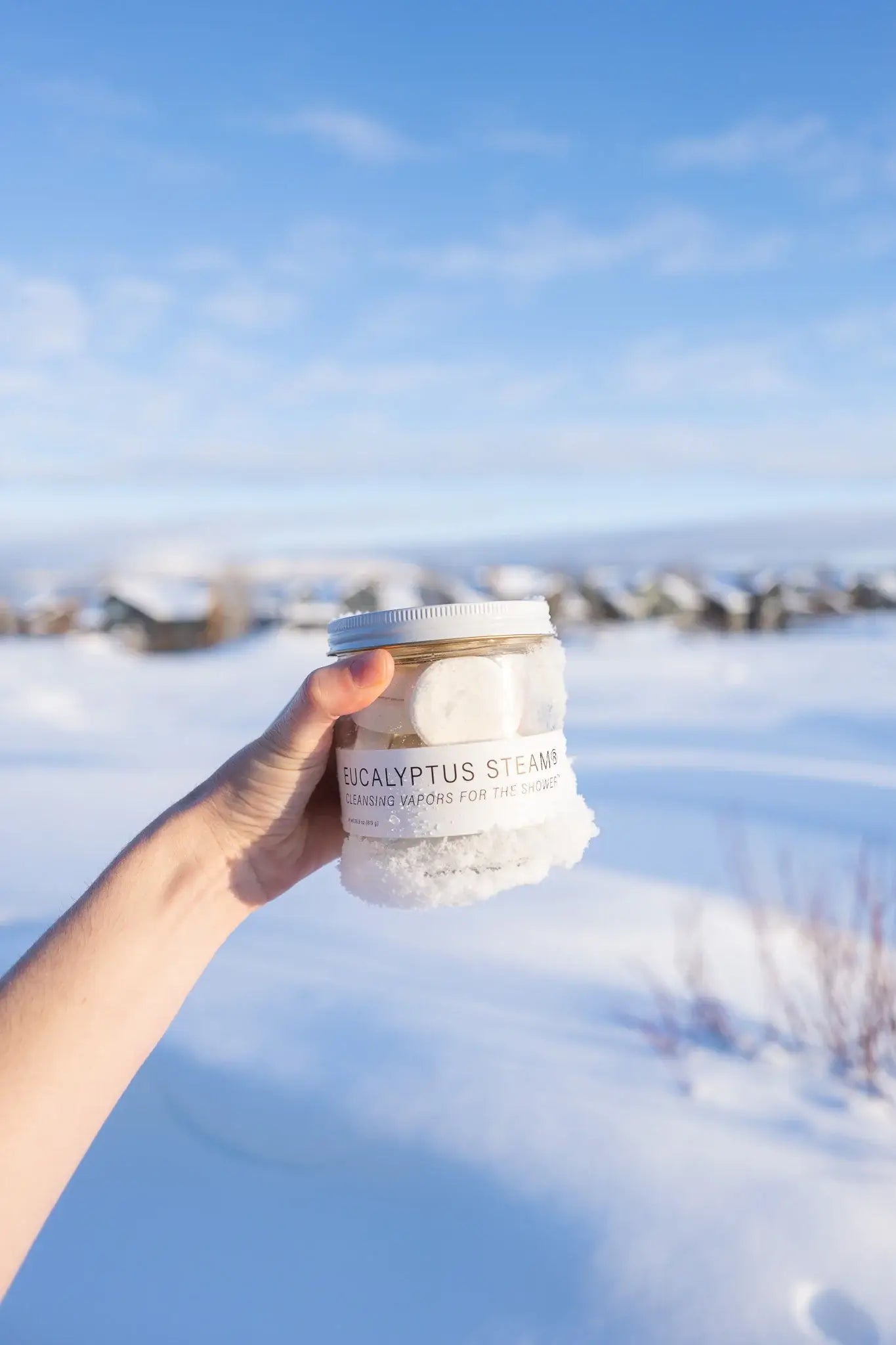 EUCALYPTUS STEAM® Cleansing vapors for the shower® (GRANDE) - No Tox Life