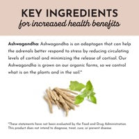 Ashwagandha Capsule | Just Ingredients