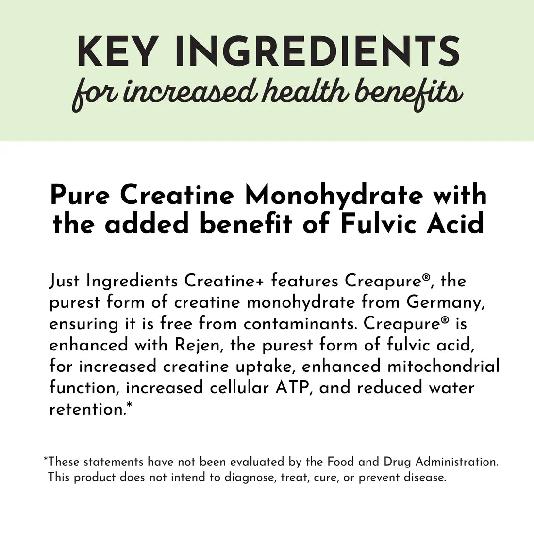 Creatine+ | Just Ingredients