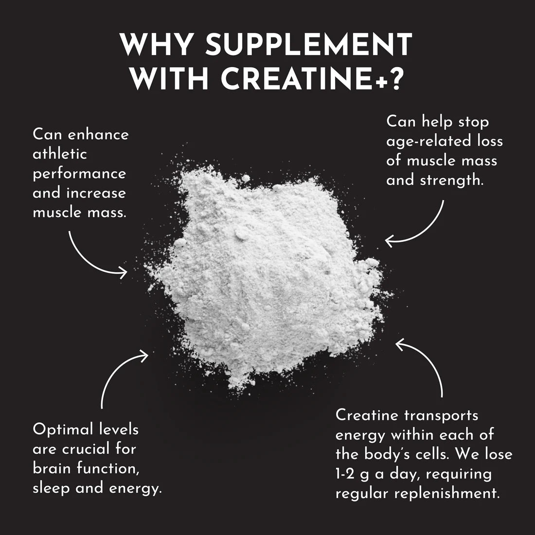 Creatine+ | Just Ingredients