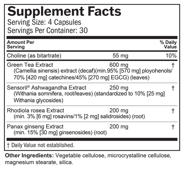 Focus and Energy | Brain MD by Daniel Amen, MD