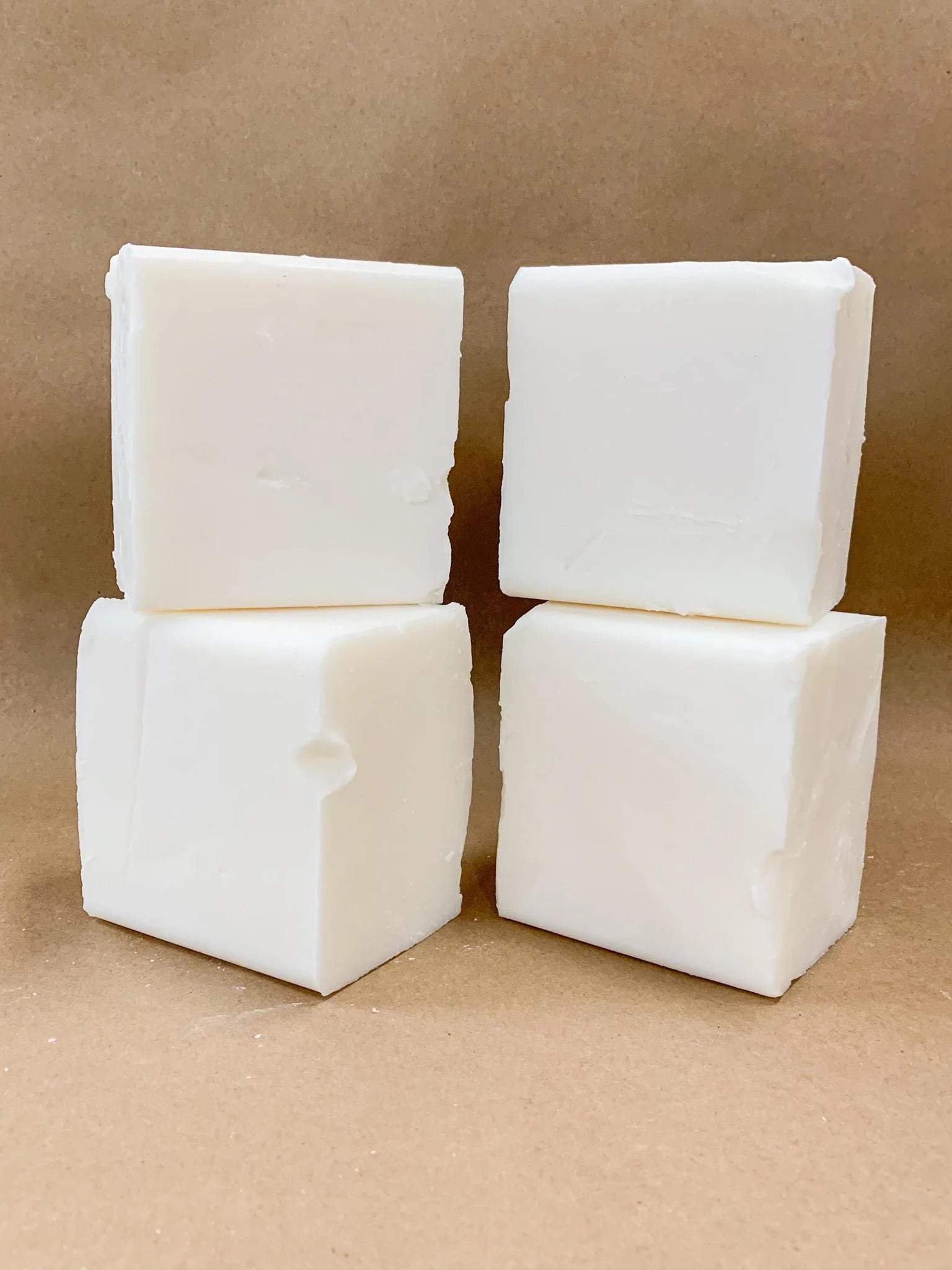 Imperfect Dish Block | No Tox Life