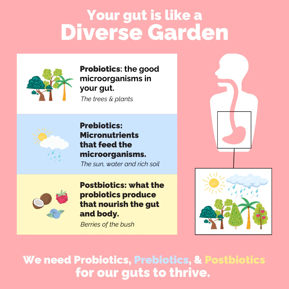 3-in-1 Probiotic | Just Ingredients