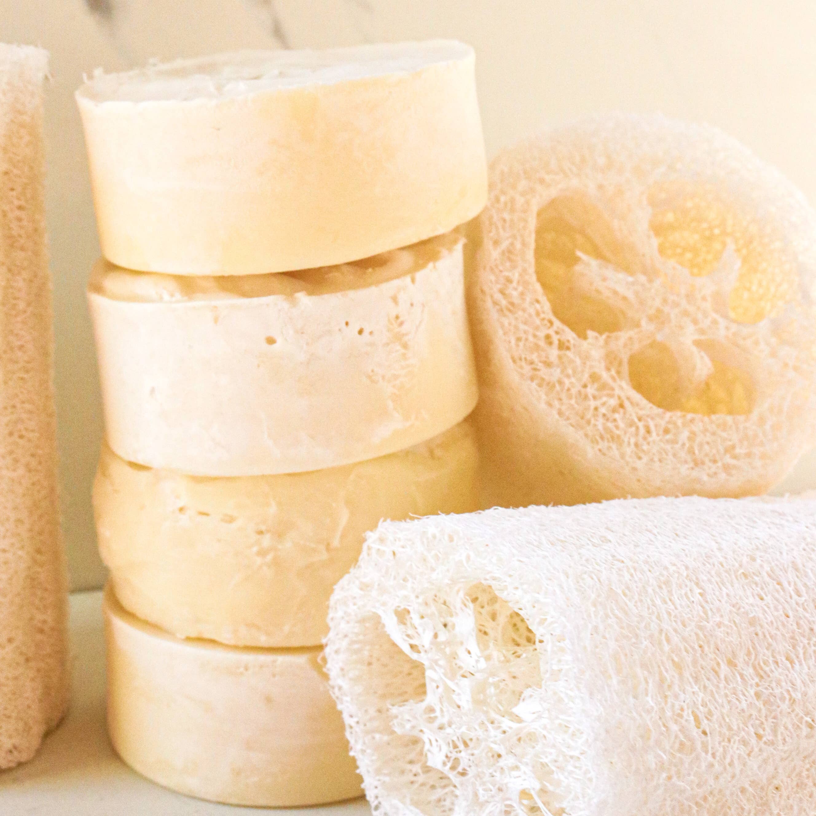 Exfoliating Tallow Bar Soap with Loofah Citrus + Mint | Dandelion Naturals