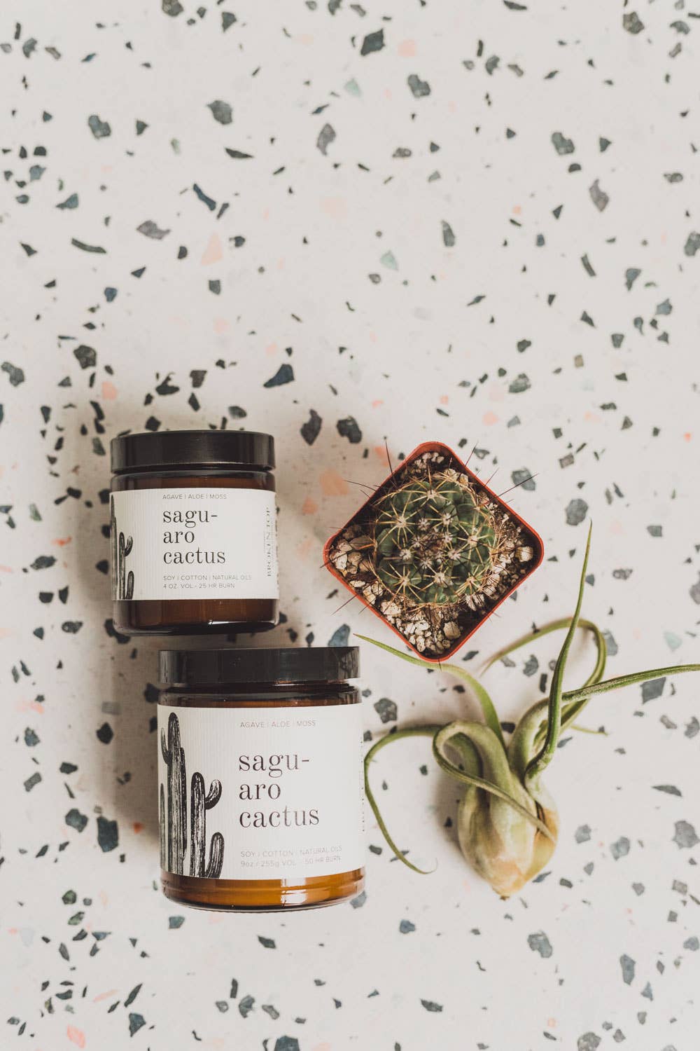 Saguaro Cactus Soy Candle 9 oz. - Thumbnail 3