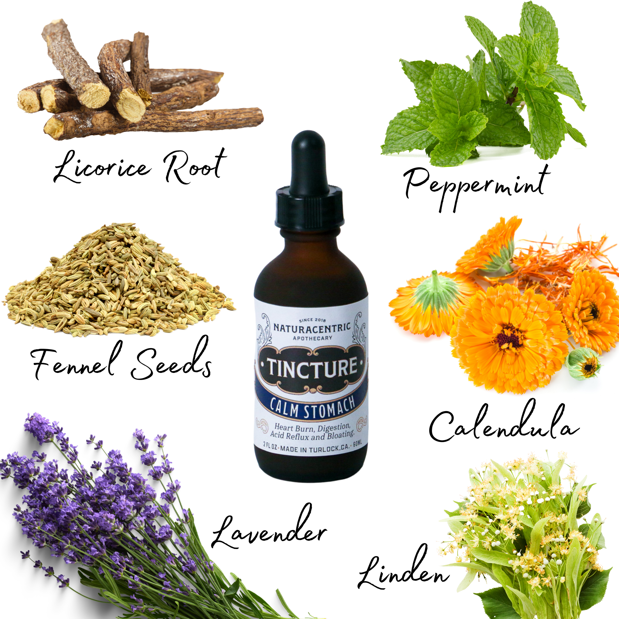 Calm Stomach Tincture | Naturacentric