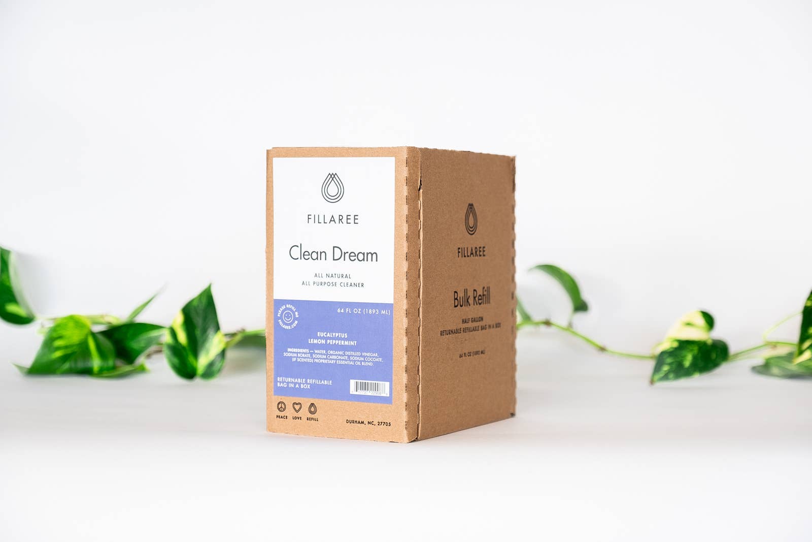 All Purpose Clean Dream Spray | Fillaree