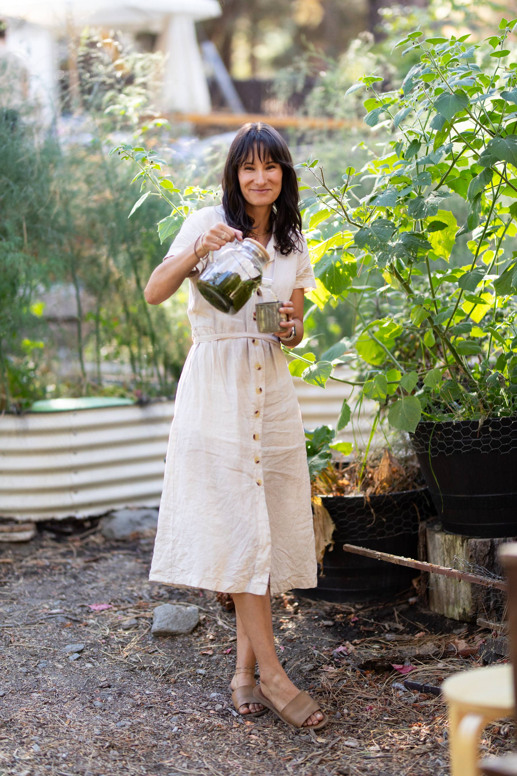 Golden Milk | Ayurvedic Blend for Natural Energy & Balance | Growing Up Rooted