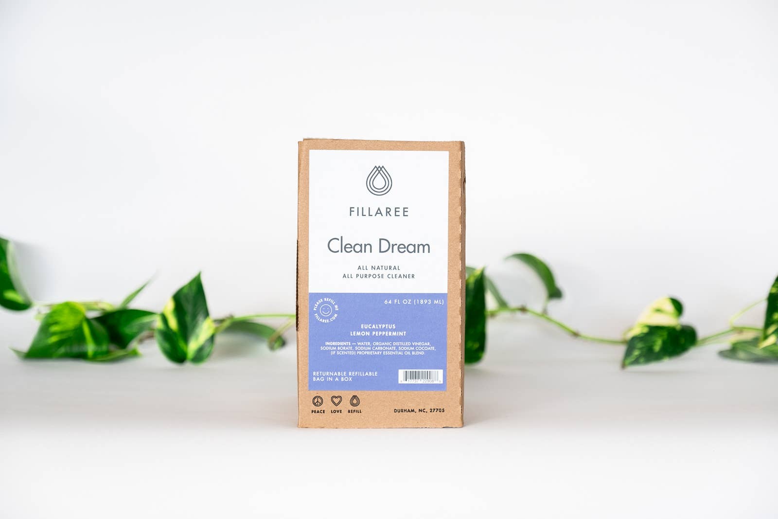 All Purpose Clean Dream Spray | Fillaree