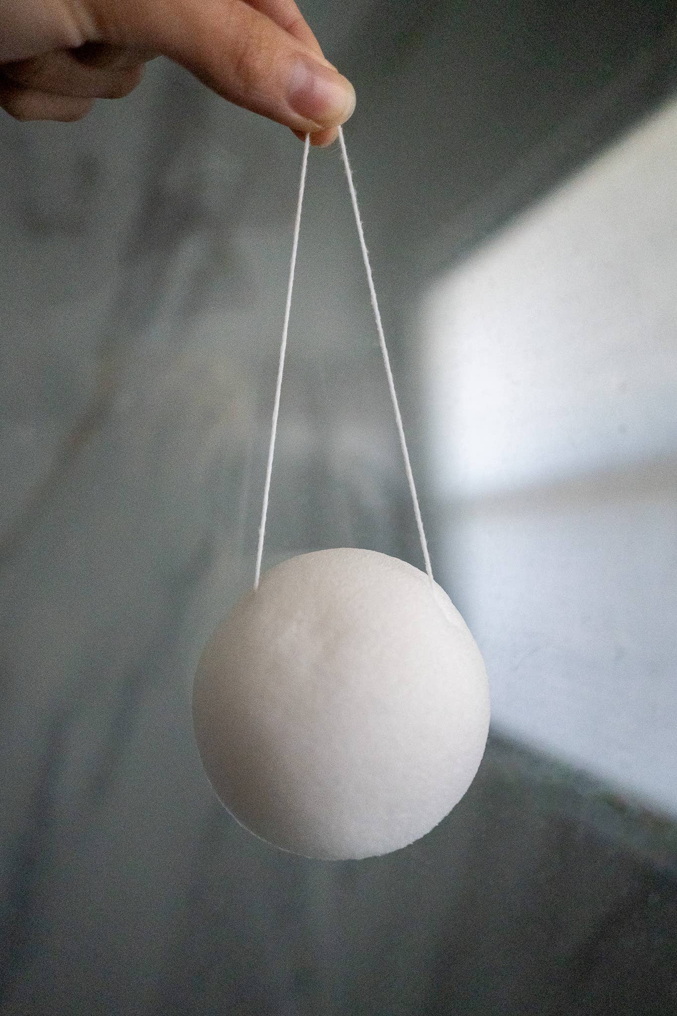 Facial Sponge | Reformation Refill