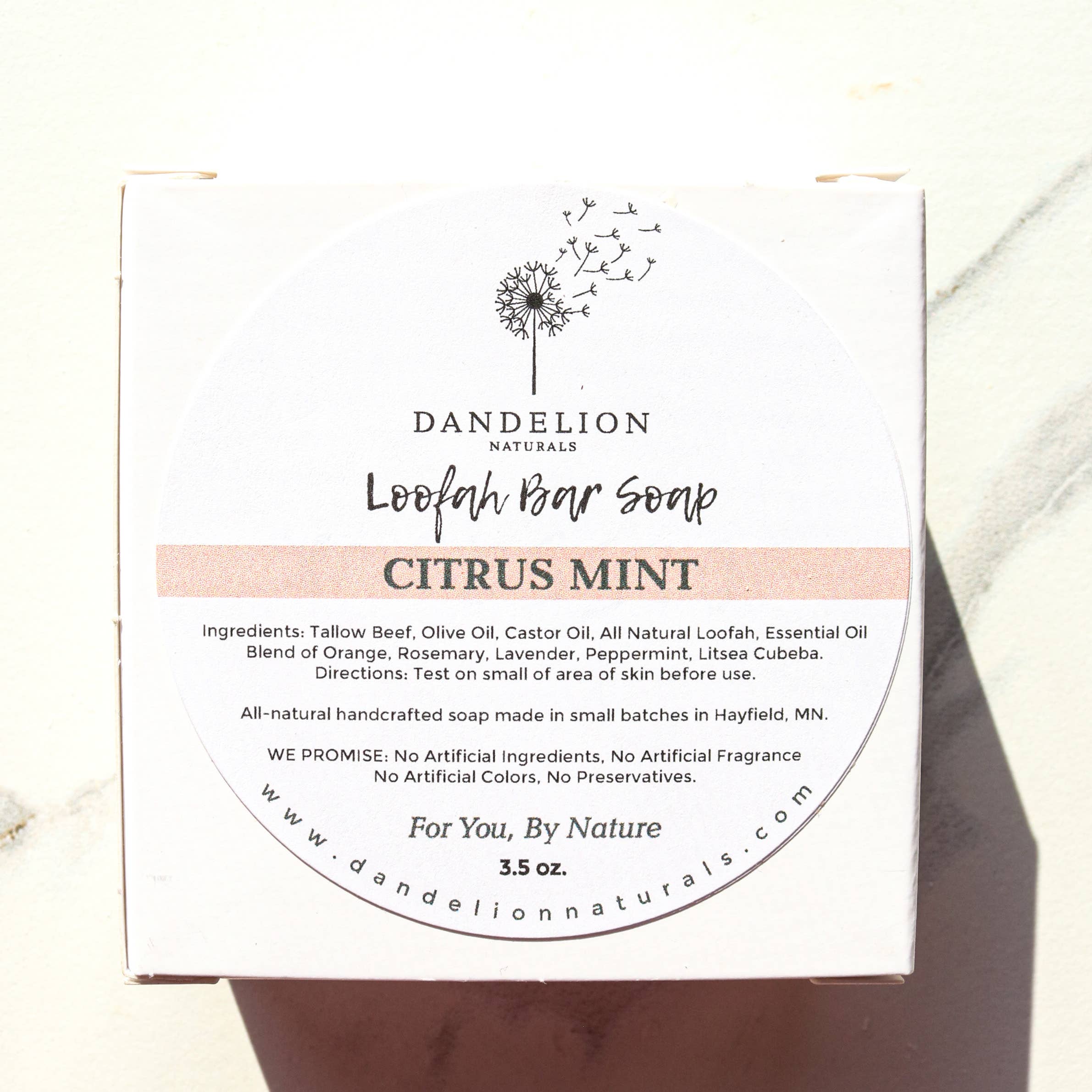 Exfoliating Tallow Bar Soap with Loofah Citrus + Mint | Dandelion Naturals