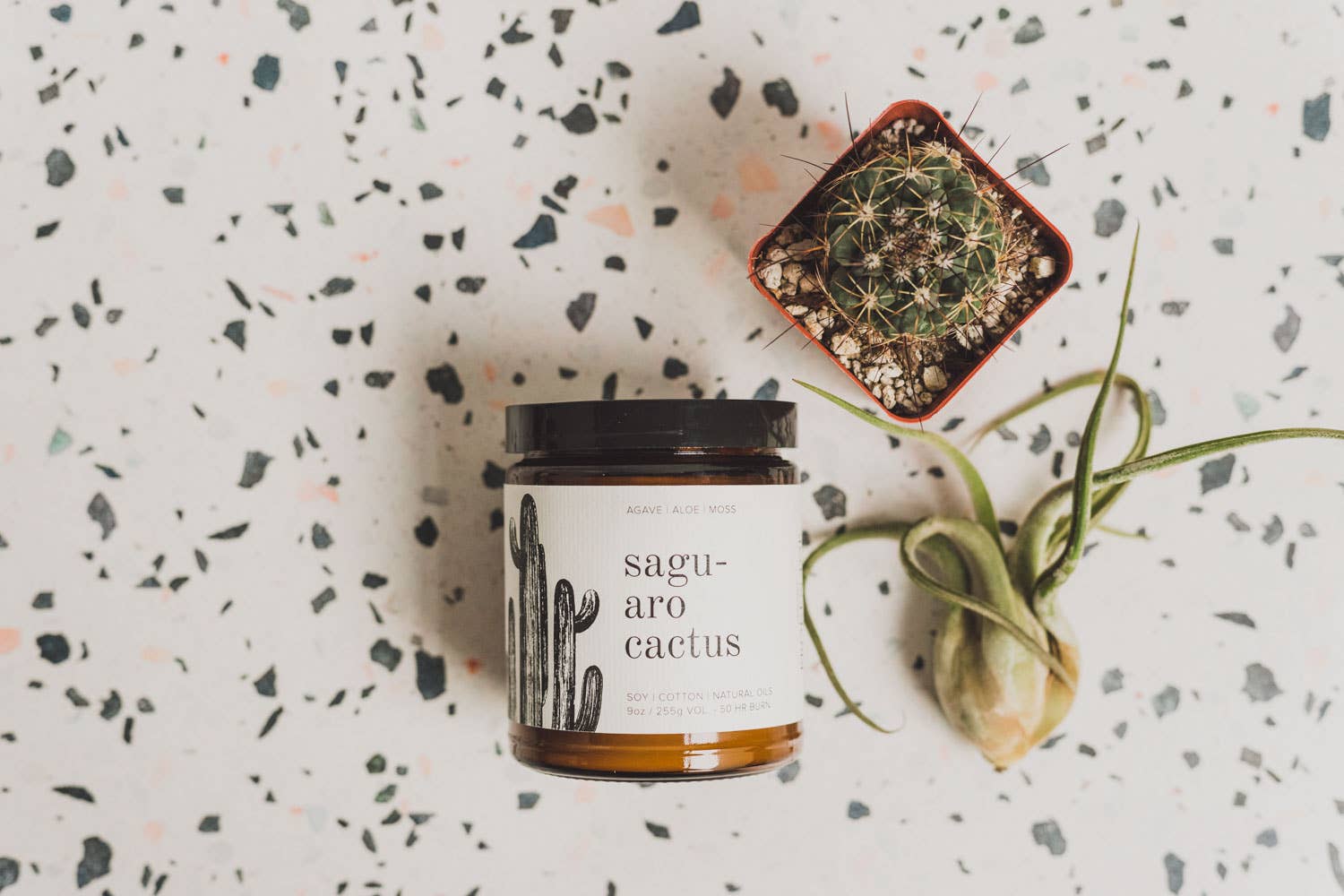 Saguaro Cactus Natural Soy Candle 9 oz | Broken Top