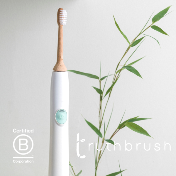 Solid Bamboo Electric Toothbrush Head | Toothbrush LLC