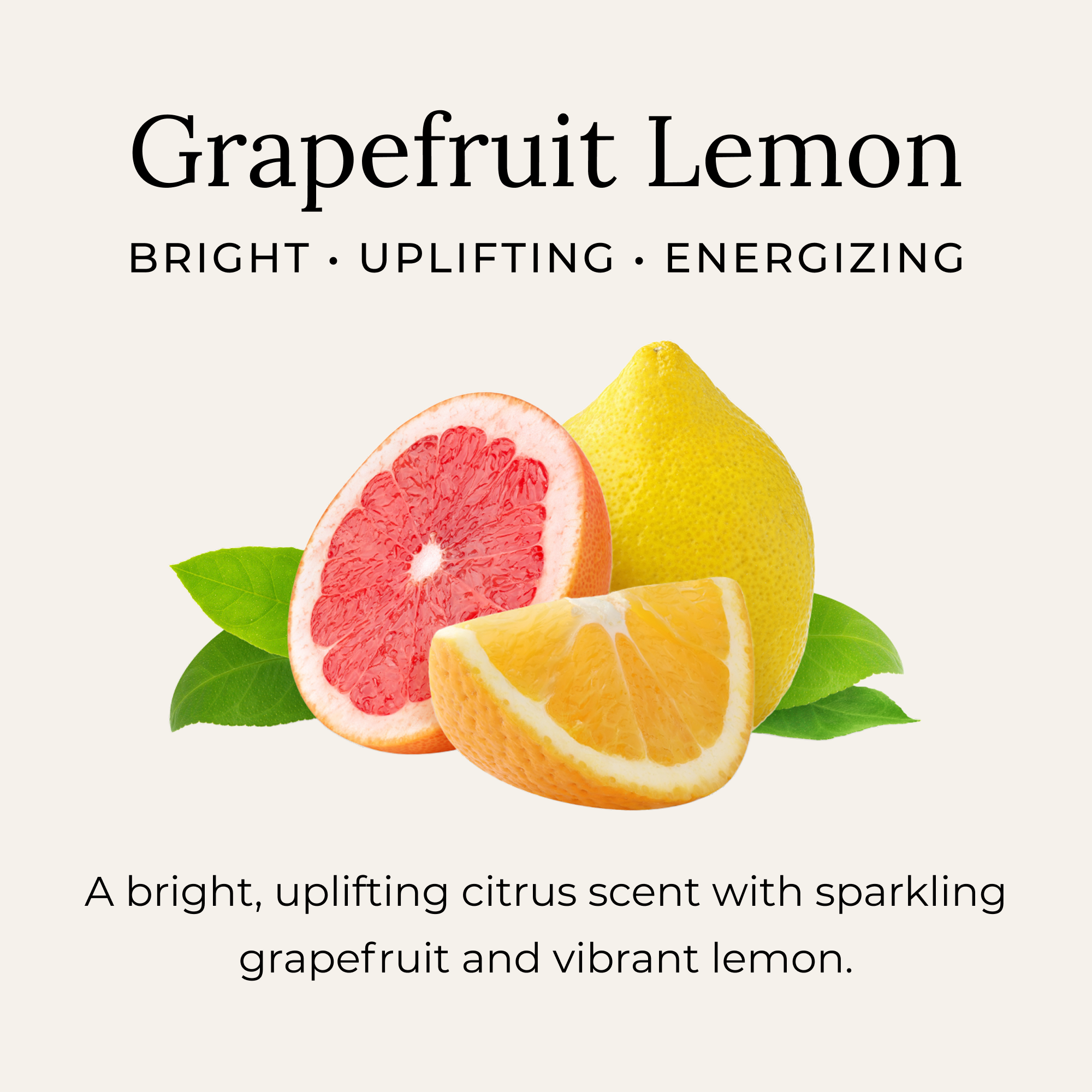 Grapefruit Lemon Deodorant Cream | Little Seed Farm