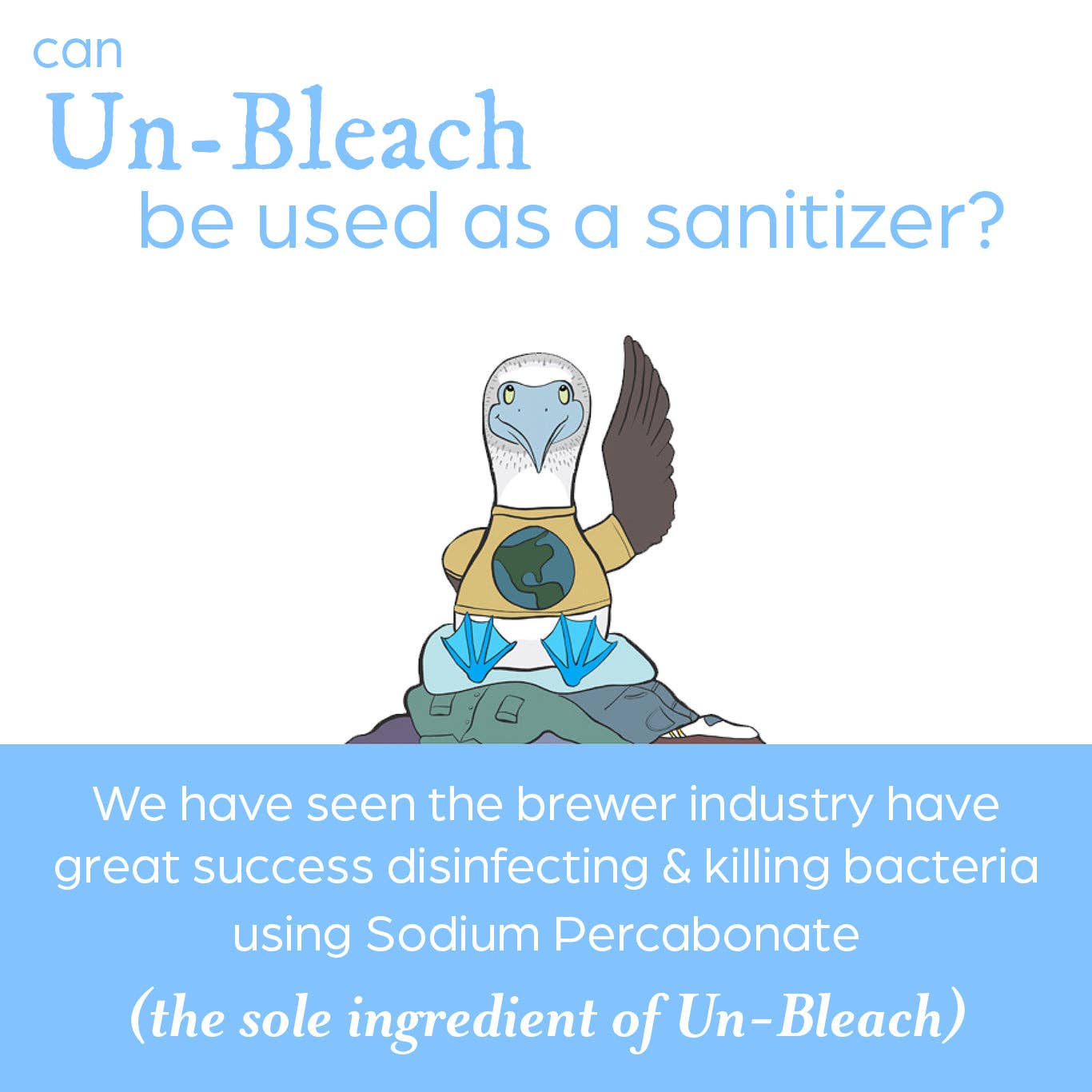 Un-Bleach 2 lb Bag | Rustic Strength