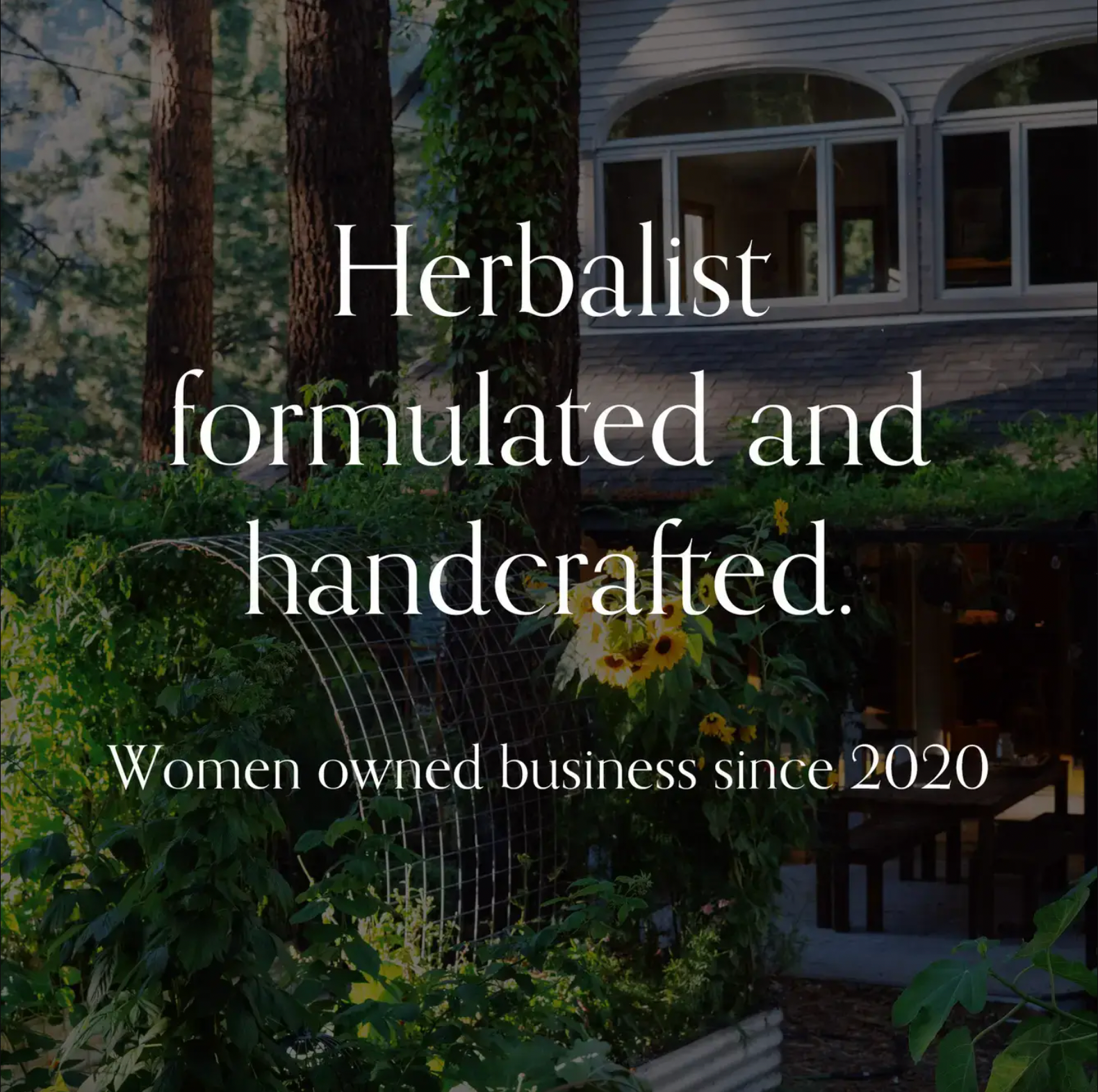 Golden Milk | Ayurvedic Blend for Natural Energy & Balance | Growing Up Rooted