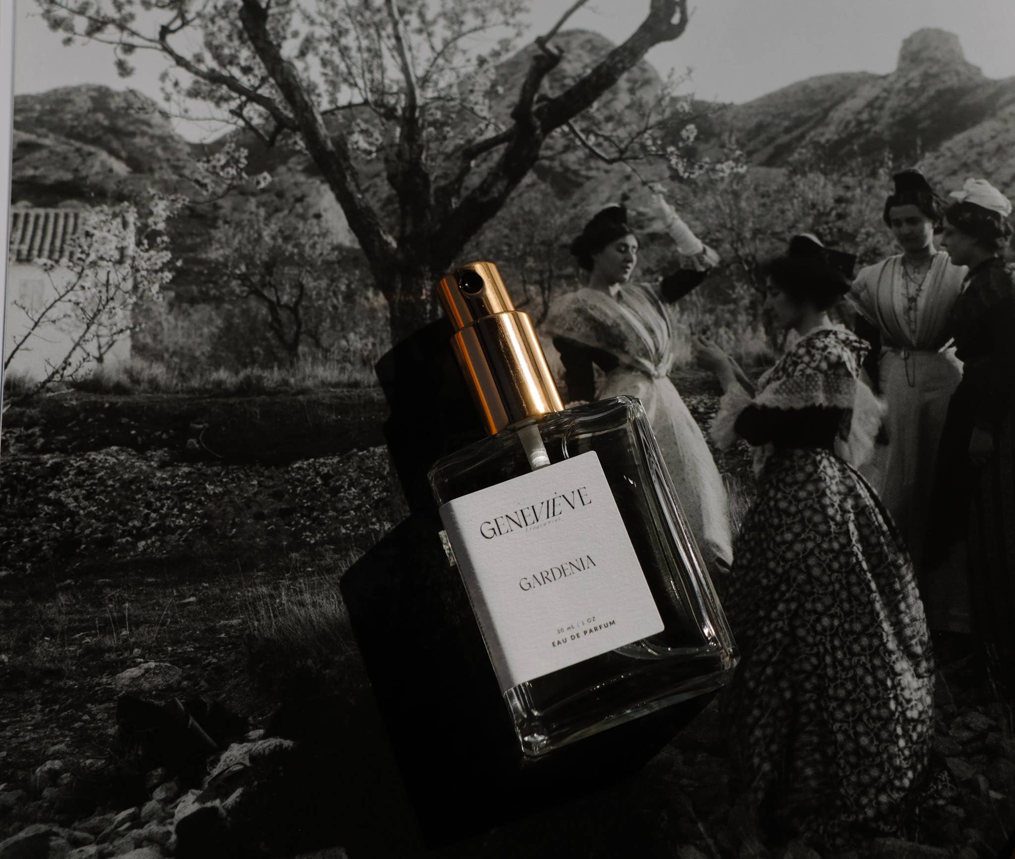 Gardenia Eau de Parfum | Gardenia Citrus | Genevieve Fragrances