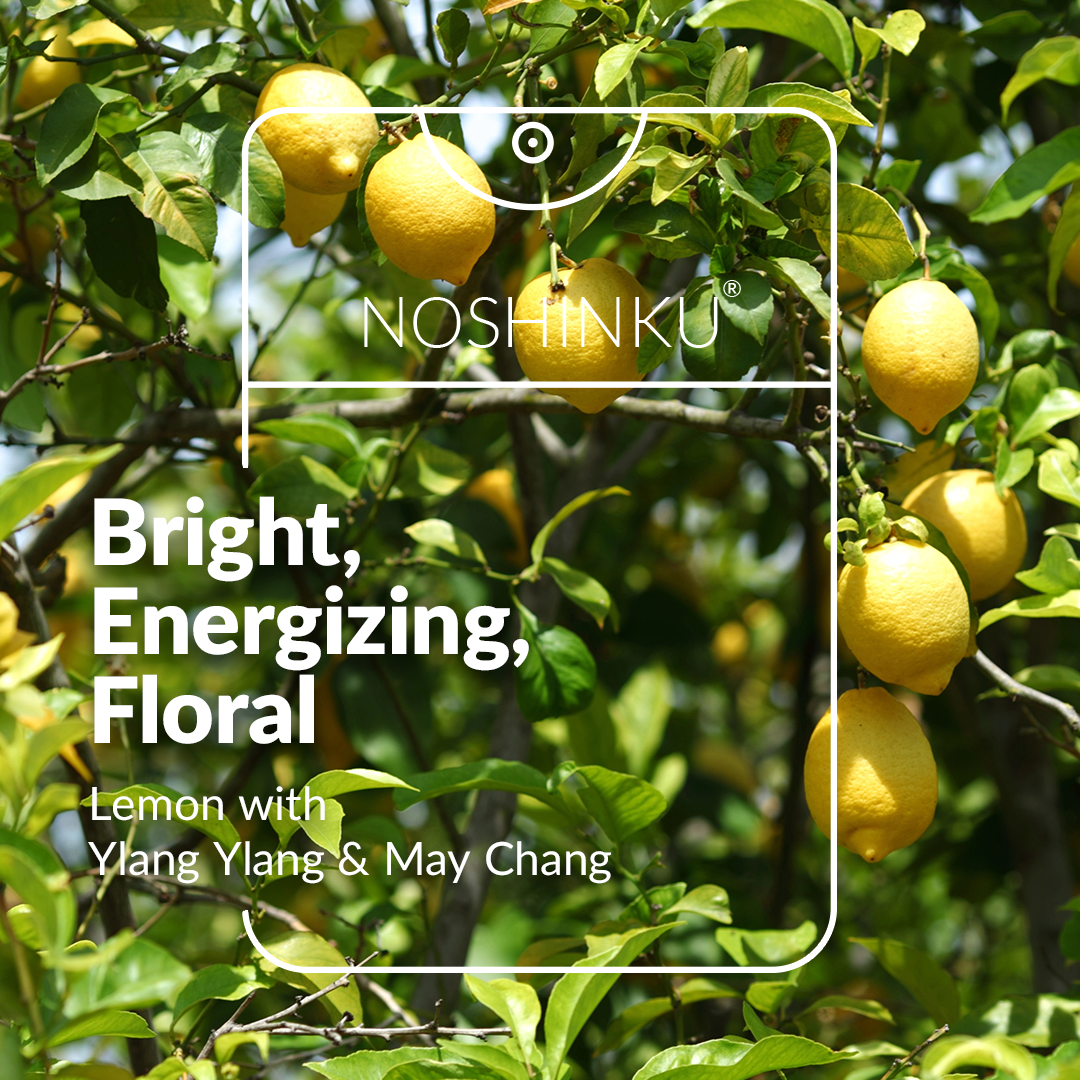 Lemon Ylang-Ylang Pocket Sanitizer | Noshinku