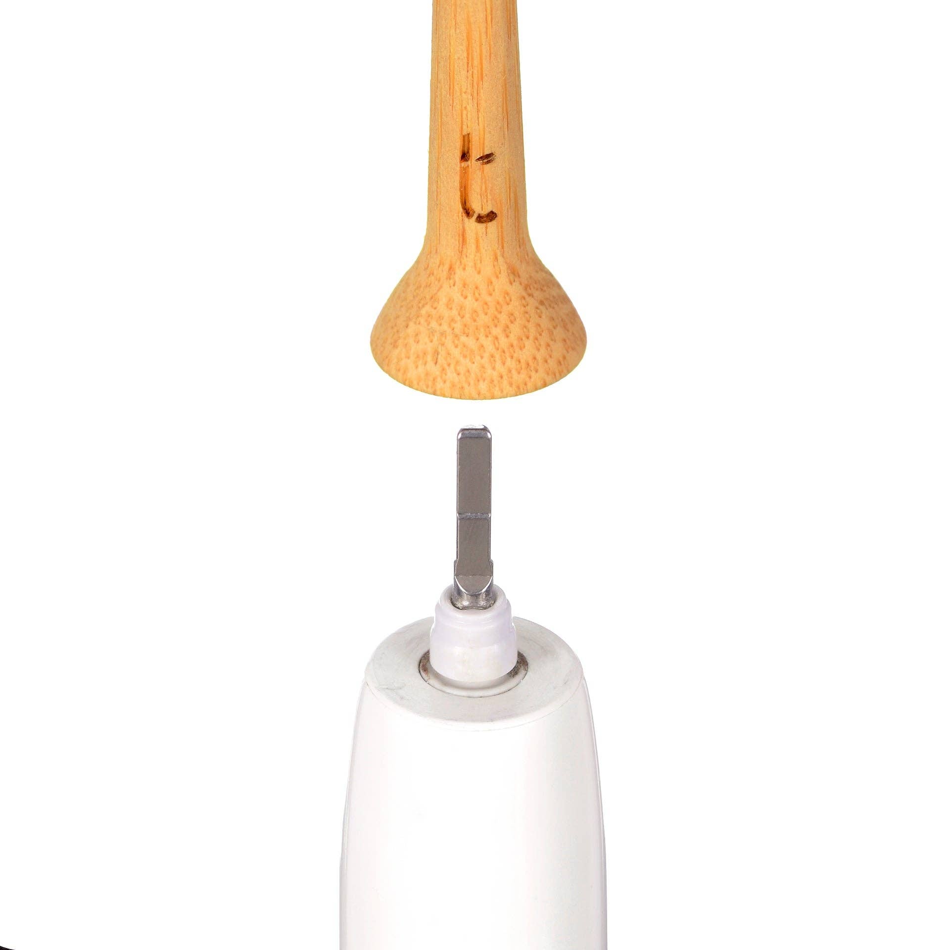 Solid Bamboo Electric Toothbrush Head | Toothbrush LLC